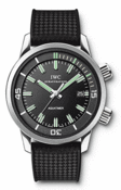 iw323101.gif
